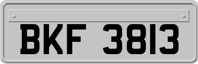 BKF3813