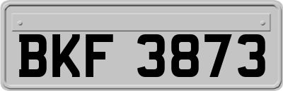 BKF3873