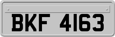 BKF4163