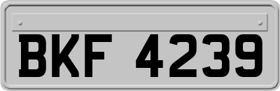 BKF4239