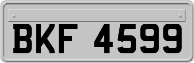 BKF4599