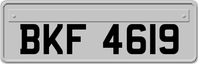 BKF4619