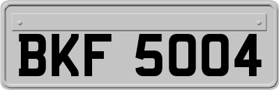 BKF5004
