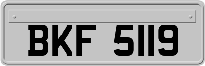 BKF5119