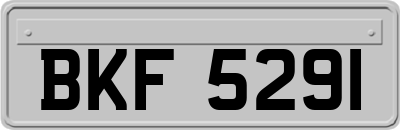 BKF5291