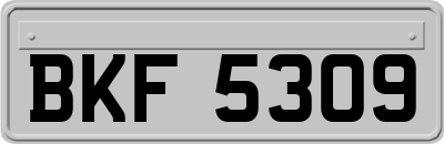 BKF5309