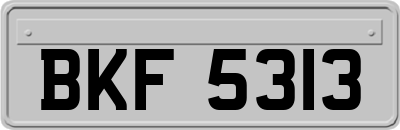 BKF5313