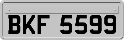 BKF5599