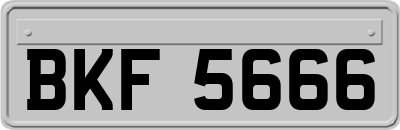 BKF5666