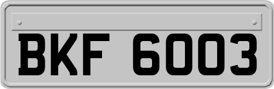 BKF6003