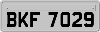 BKF7029