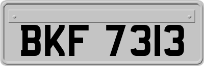 BKF7313