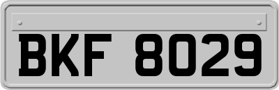 BKF8029