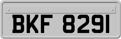 BKF8291