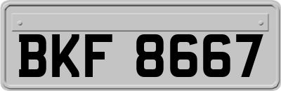 BKF8667