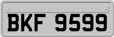 BKF9599