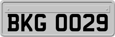 BKG0029