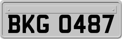 BKG0487