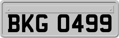 BKG0499