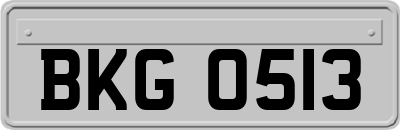 BKG0513