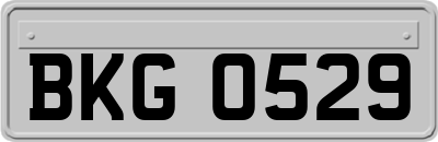 BKG0529