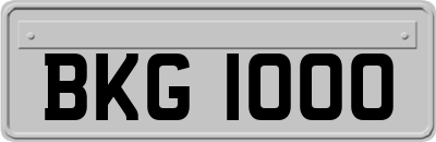 BKG1000