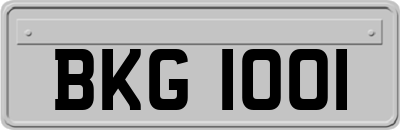BKG1001
