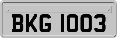BKG1003