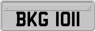 BKG1011