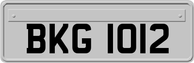 BKG1012