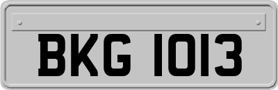 BKG1013