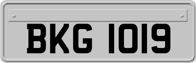 BKG1019