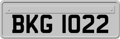 BKG1022