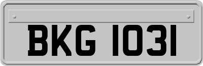 BKG1031