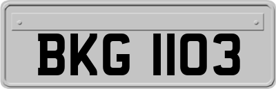 BKG1103