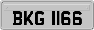 BKG1166