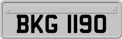 BKG1190