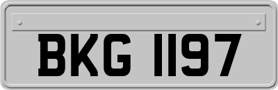 BKG1197