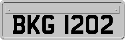 BKG1202