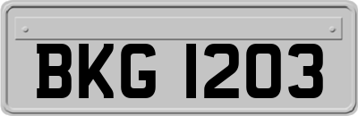 BKG1203