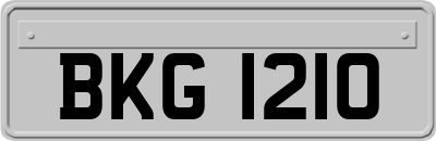 BKG1210