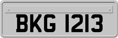 BKG1213