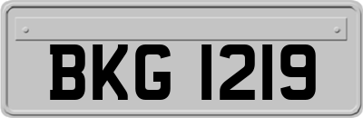 BKG1219