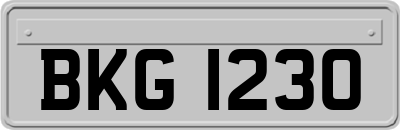 BKG1230