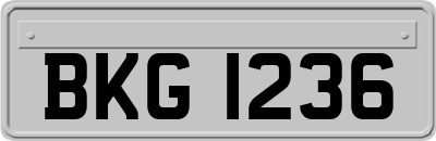 BKG1236