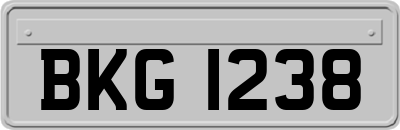 BKG1238