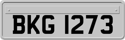 BKG1273