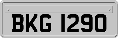 BKG1290