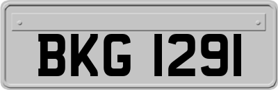 BKG1291