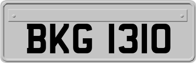 BKG1310